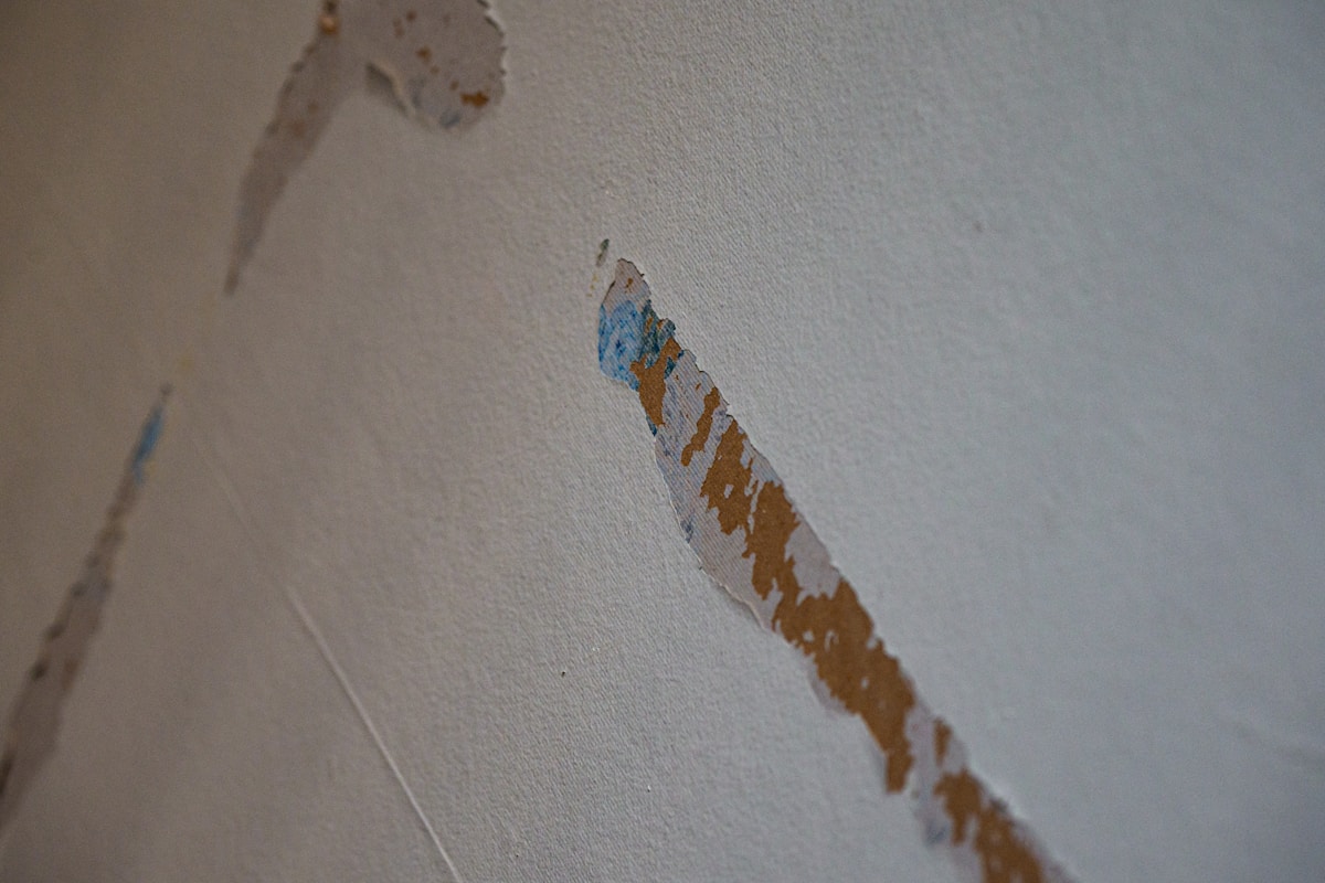 Water Extraction service in Rio Rancho, NM
